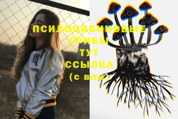 ПСИЛОЦИБИНОВЫЕ ГРИБЫ Алзамай