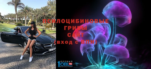 ПСИЛОЦИБИНОВЫЕ ГРИБЫ Алзамай