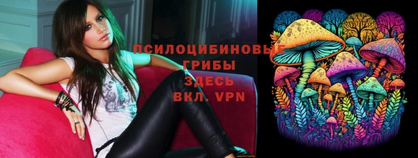 марки lsd Горняк